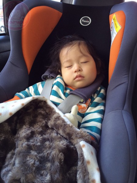 Little-big-boss sleeping in the car on the way to Niseko