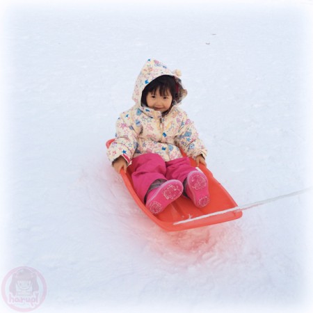 Yuki-chan on a sled