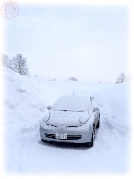 Snow car