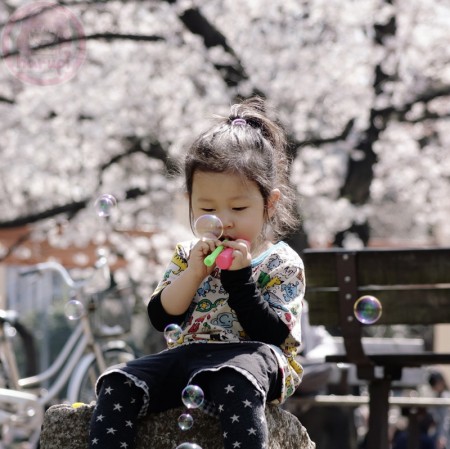 Blowing bubbles in the park with Sakura 桜にシャボン玉