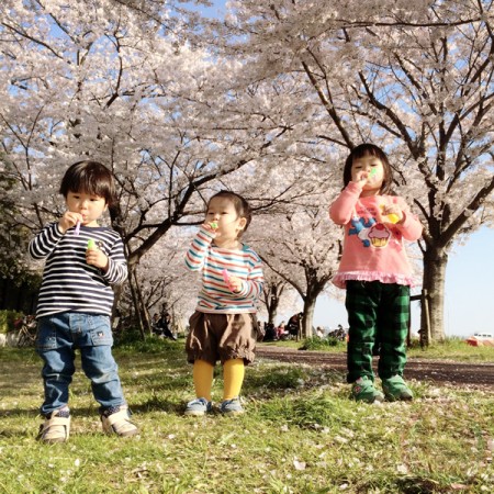 Blowing bubbles under the Sakura trees