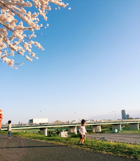 Walking around the riverside park