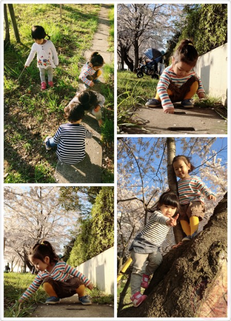 Playing around with friends under the Sakura trees!