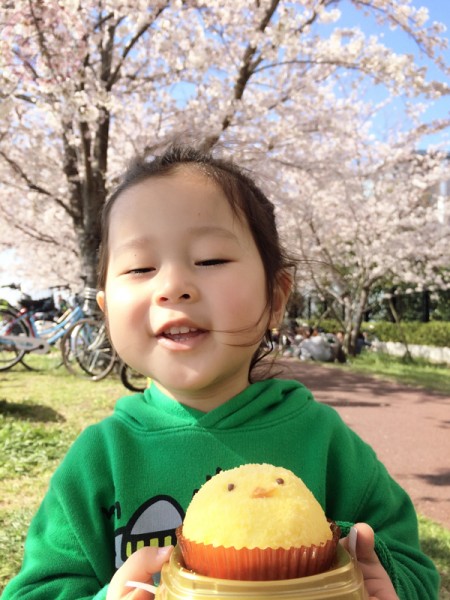 Chicky cheese cake for a Sakura picnic