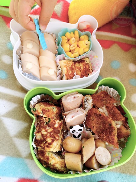 Hanami picnic lunch box お花見のお弁当
