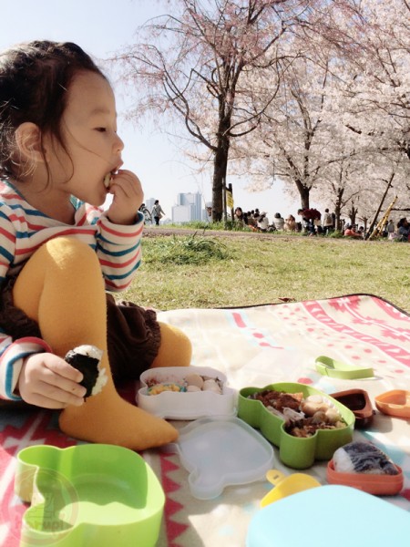 Hanami lunch-time お花見ランチ