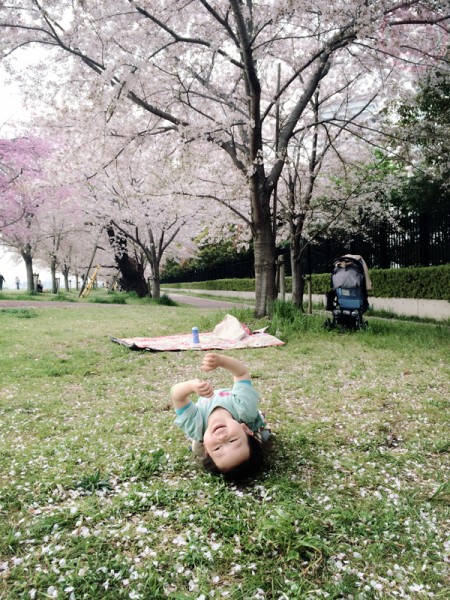 Rolling on the ground of falling Sakura