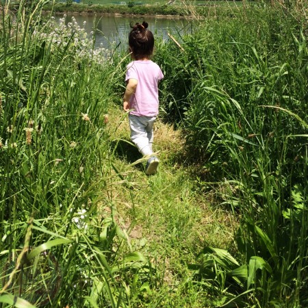 Going to free the frogs back to the riverside カエルを河辺に戻しに！