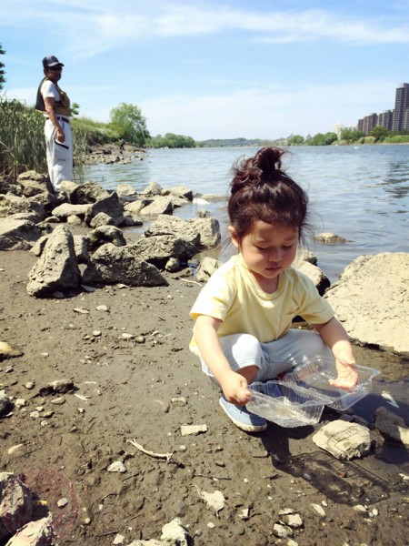 Freeing the frogs back to the riverside カエルを河辺に戻すよ～