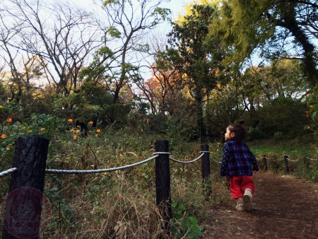 Walking up a little mountain..