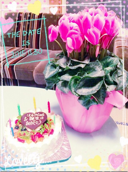 Gifts from Yappi ♥ A cake and flowers! A pot of cyclamen persicum !