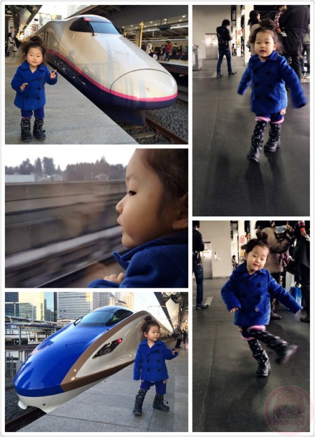 Ready to go back to Tokyo on E2 series Hayate bullet train
