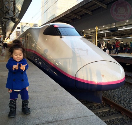 Back in Tokyo station - Snapshot with Hayate v(^o^)v