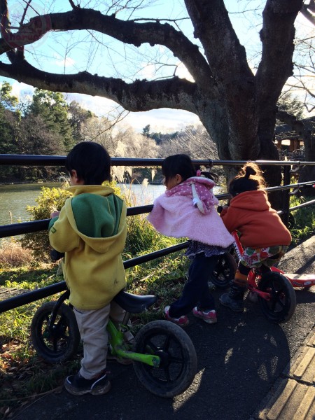 Watching the ducks on the lake.